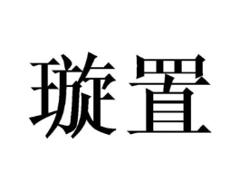 璇置商标原图 第10类医疗器械