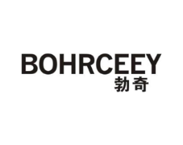 勃奇 BOHRCEEY商标原图 第10类医疗器械