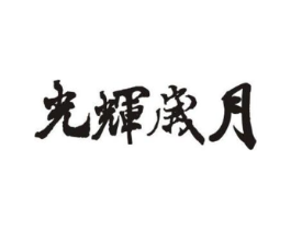 光辉岁月商标原图 第10类医疗器械