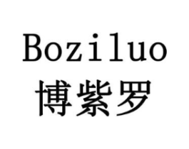 博紫罗商标原图 第10类医疗器械