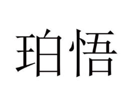 珀悟商标原图 第10类医疗器械