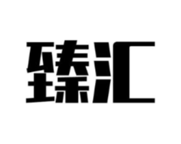 臻汇商标原图 第10类医疗器械