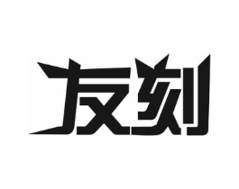 友刻商标原图 第10类医疗器械