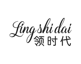 领时代商标原图 第10类医疗器械