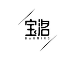 宝洺商标原图 第10类医疗器械
