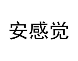 安感觉商标原图 第10类医疗器械