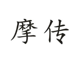 摩传商标原图 第10类医疗器械