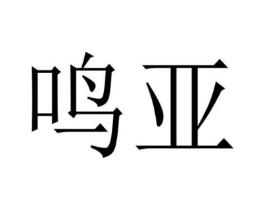 鸣亚商标原图 第10类医疗器械
