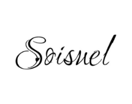 SOISUEL商标原图 第10类医疗器械