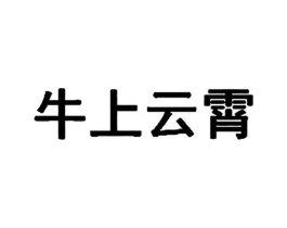 牛上云霄商标原图 第10类医疗器械
