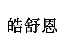 皓舒恩商标原图 第10类医疗器械