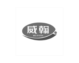 威翰商标原图 第10类医疗器械