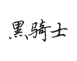 黑骑士商标原图 第10类医疗器械