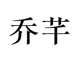 乔芊商标原图 第10类医疗器械