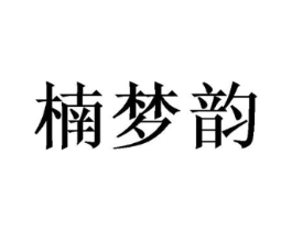 楠梦韵商标原图 第10类医疗器械