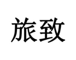 旅致商标原图 第10类医疗器械