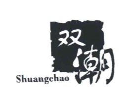 双潮商标原图 第10类医疗器械