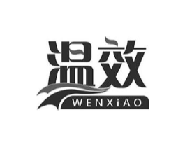 温效商标原图 第10类医疗器械
