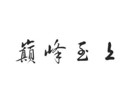 巅峰至上商标原图 第10类医疗器械