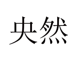 央然商标原图 第10类医疗器械