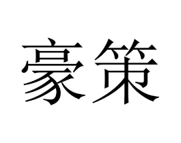 豪策商标原图 第10类医疗器械