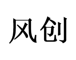 风创商标原图 第10类医疗器械