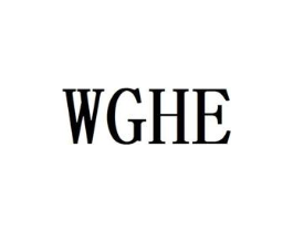 WGHE商标原图 第10类医疗器械