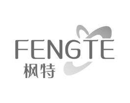 枫特商标原图 第10类医疗器械