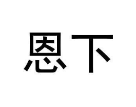 恩下商标原图 第10类医疗器械
