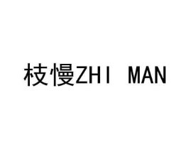枝慢商标原图 第10类医疗器械