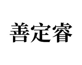 善定睿商标原图 第10类医疗器械