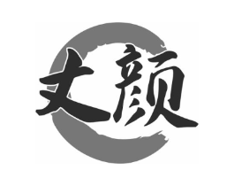 丈颜商标原图 第10类医疗器械