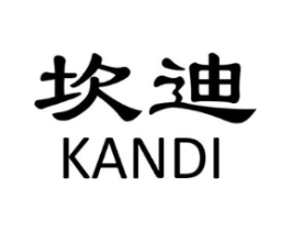 坎迪商标原图 第10类医疗器械