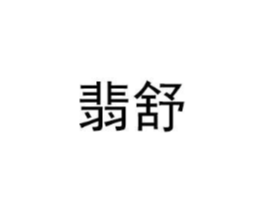 翡舒商标原图 第10类医疗器械