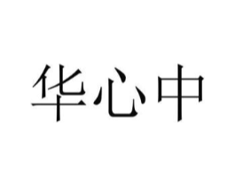 华心中商标原图 第10类医疗器械