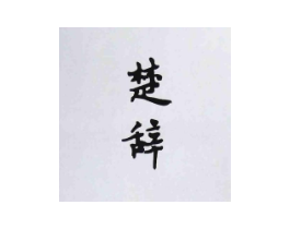 楚辞商标原图 第10类医疗器械