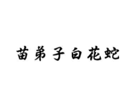 苗弟子白花蛇商标原图 第10类医疗器械