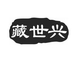 藏世兴商标原图 第10类医疗器械