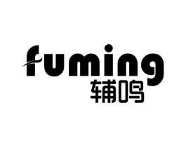 辅鸣商标原图 第10类医疗器械