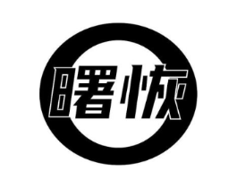 曙恢商标原图 第10类医疗器械