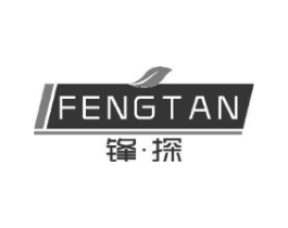锋·探商标原图 第10类医疗器械