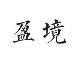 盈境商标原图 第10类医疗器械