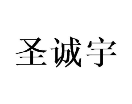 圣诚宇商标原图 第10类医疗器械