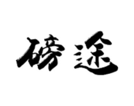 磅途商标原图 第10类医疗器械