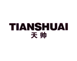 天帅商标原图 第10类医疗器械