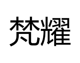 梵耀商标原图 第10类医疗器械