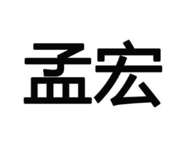 孟宏商标原图 第10类医疗器械