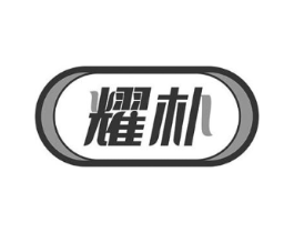 耀朴商标原图 第10类医疗器械