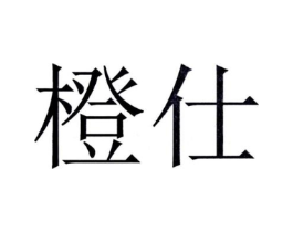橙仕商标原图 第10类医疗器械