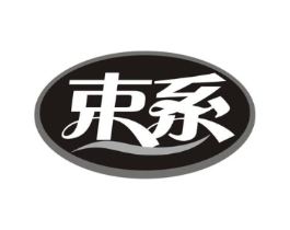 束系商标原图 第10类医疗器械